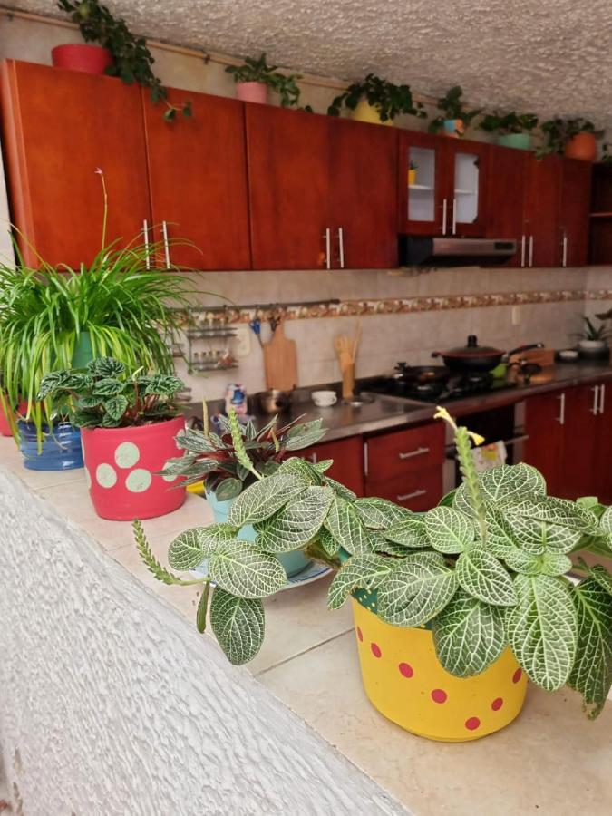Tatami Hostel Bucaramanga Luaran gambar