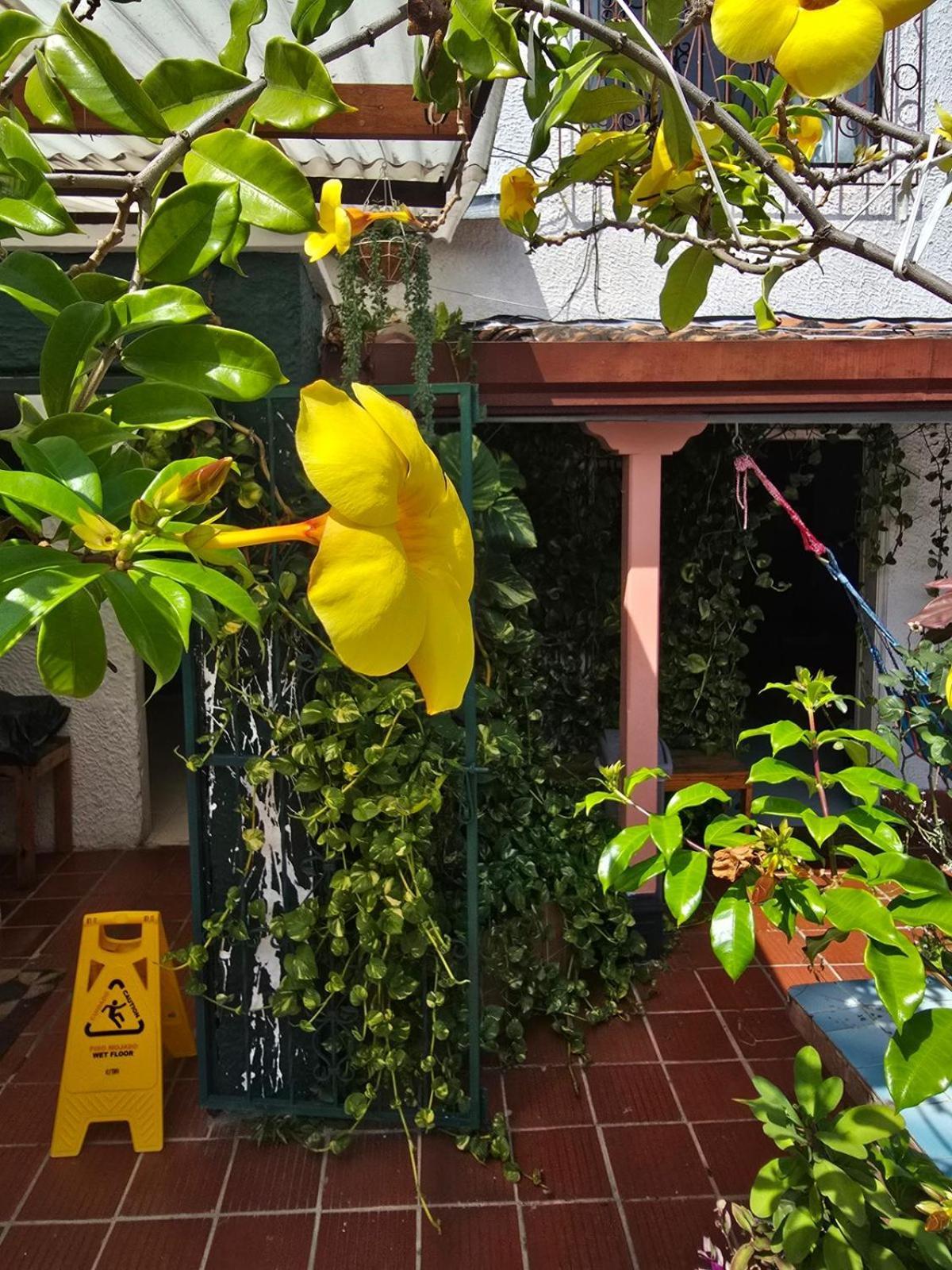 Tatami Hostel Bucaramanga Luaran gambar