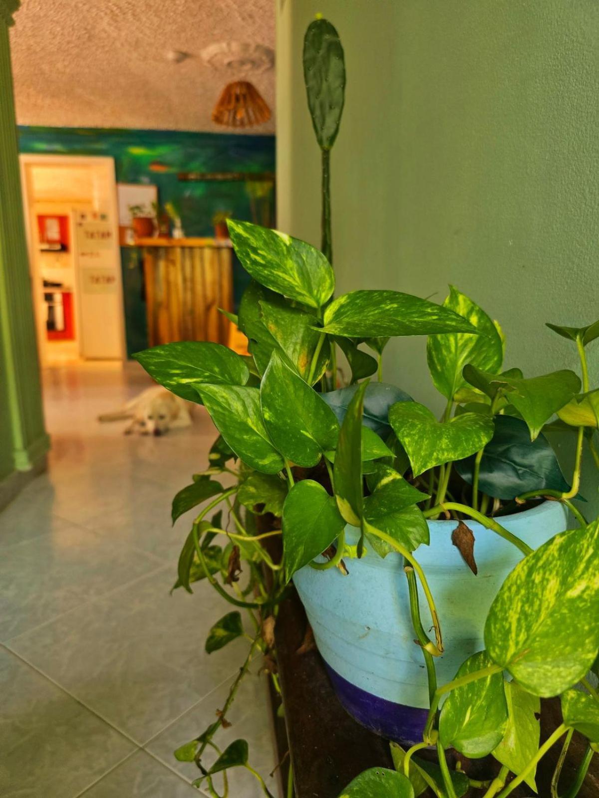 Tatami Hostel Bucaramanga Luaran gambar